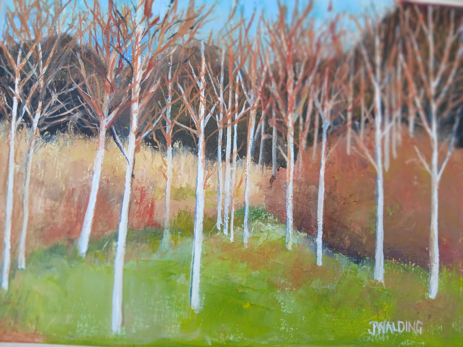 White Birches